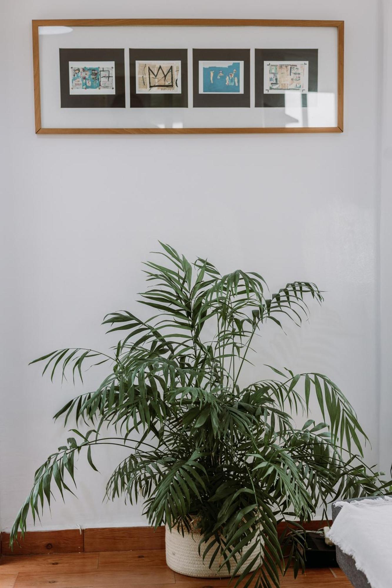 Spacious Central Apartment Seville Exterior photo